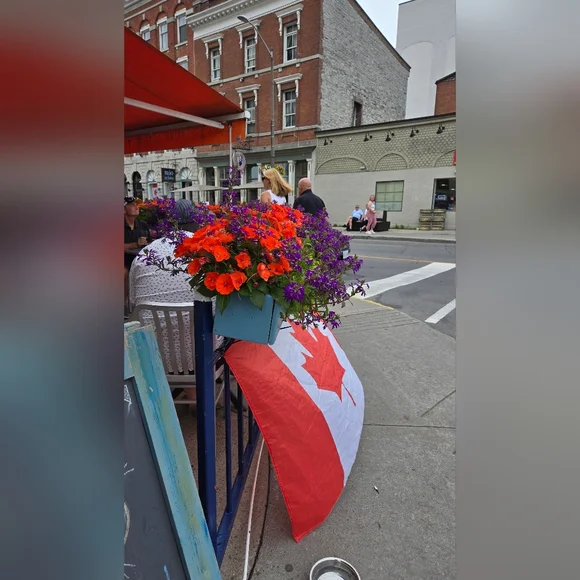 KINGSTON TRIP - Picture 9 of 14